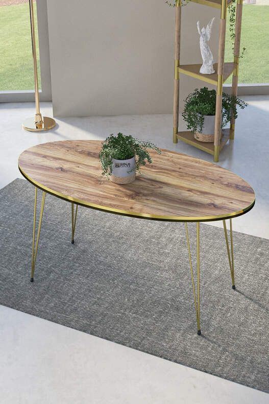 Gold Wire Double Gold Centre Coffee Table Ellipse