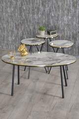 Black Metal Double Gold Coffee Table Set Ellipse