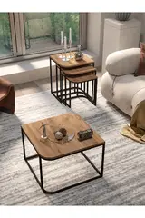 Damla Center and Zigon Coffee Table Set