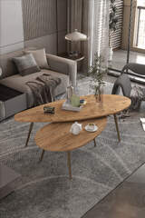 Orta Sehpa Seti Modern 2’li Ahşap Ayaklı