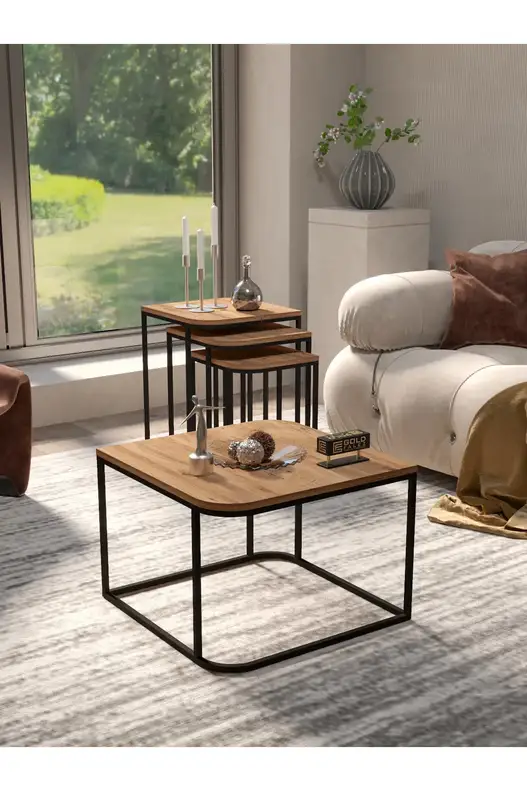 Damla Center and Zigon Coffee Table Set