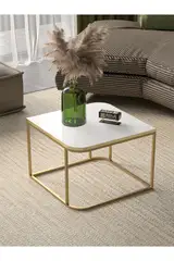 Damla Coffee Table Gold White